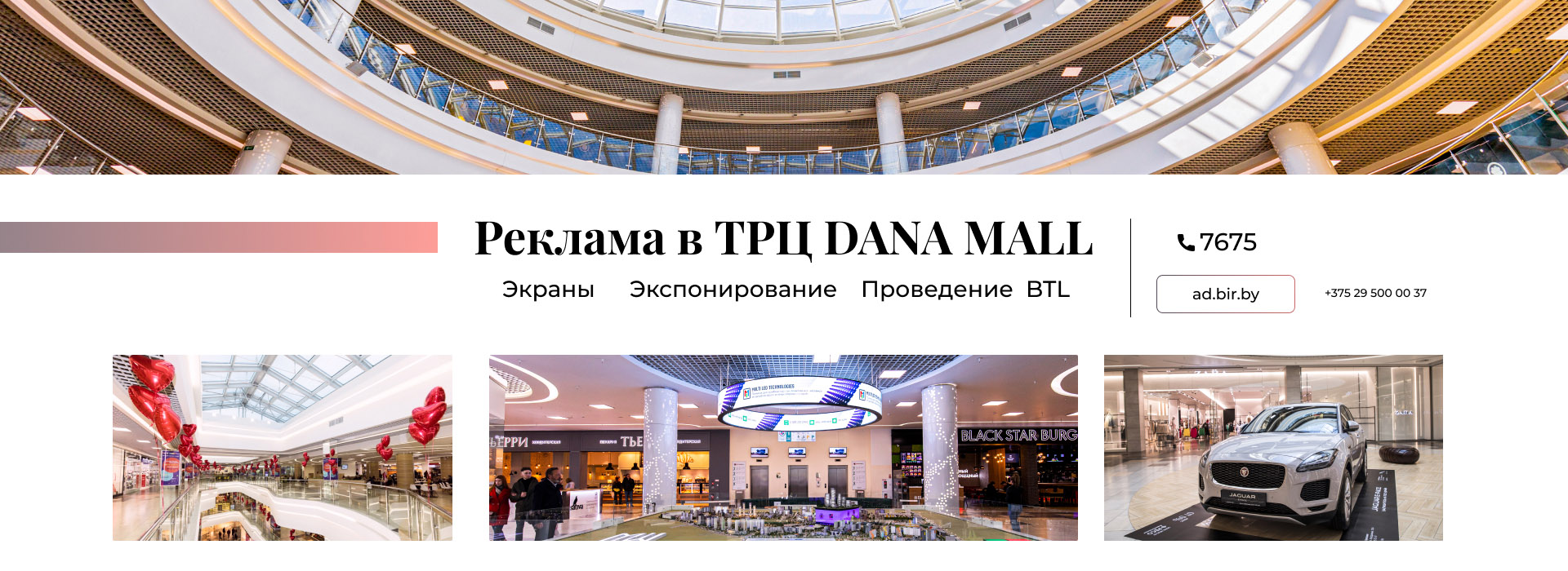 Магазин Сенсей Витебск — Каталог интернет магазинов